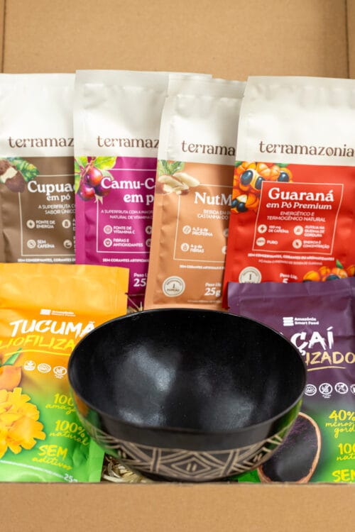 presente sustentável com açaí, cupuaçu, guaraná, camu-camu, leite de castanha, tucumã e tigela de cuia