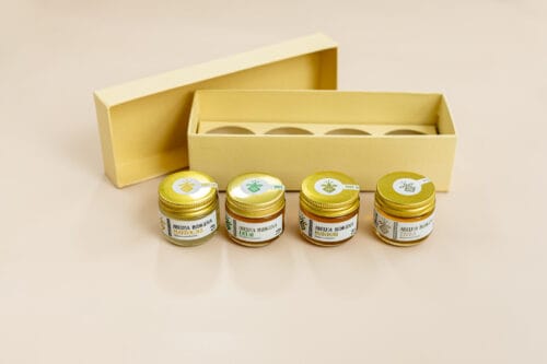 brinde sustentável com meles abelhas nativas