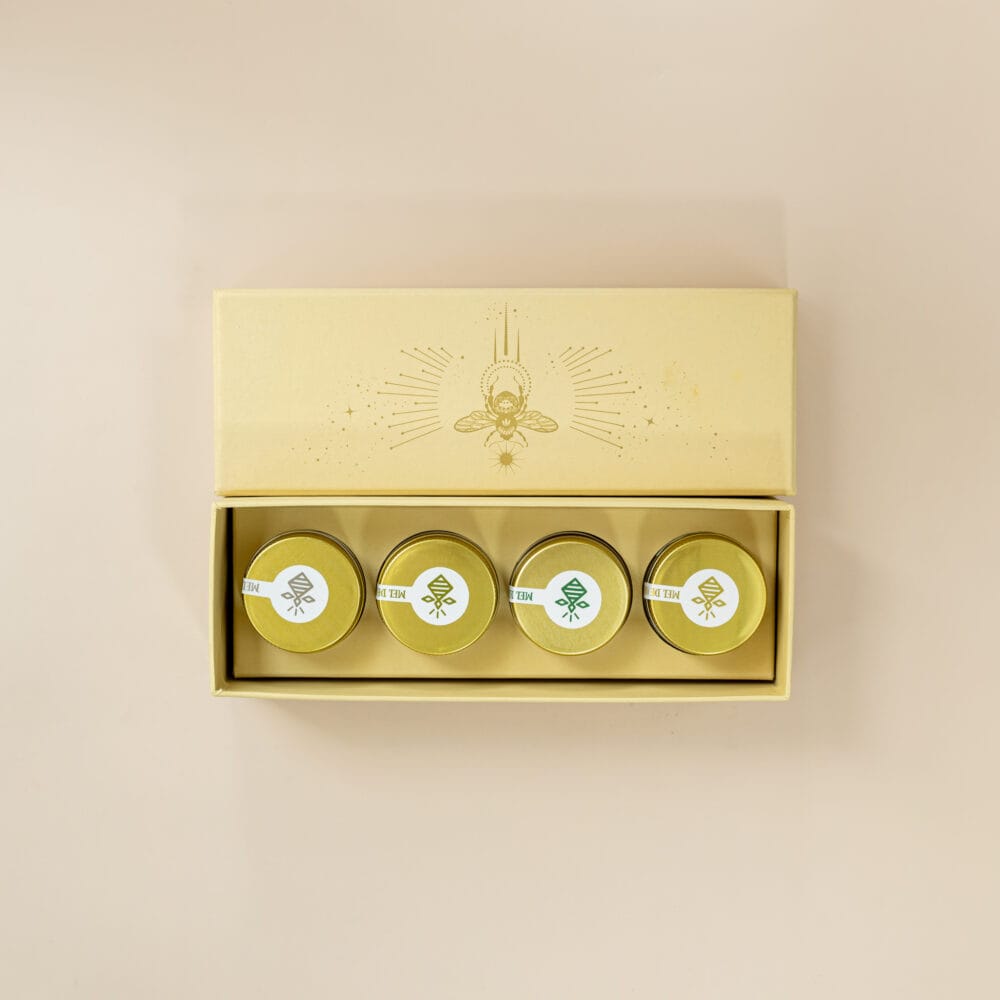 brinde sustentável com meles abelhas nativas