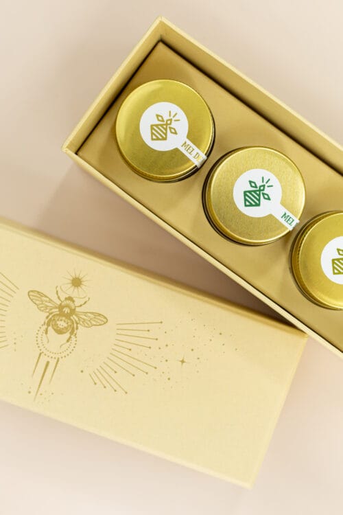 brinde sustentável com meles abelhas nativas