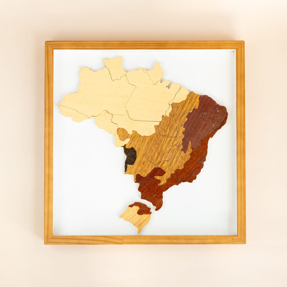 quadro biomas do Brasil brinde sustentabilidade CNN Brasil