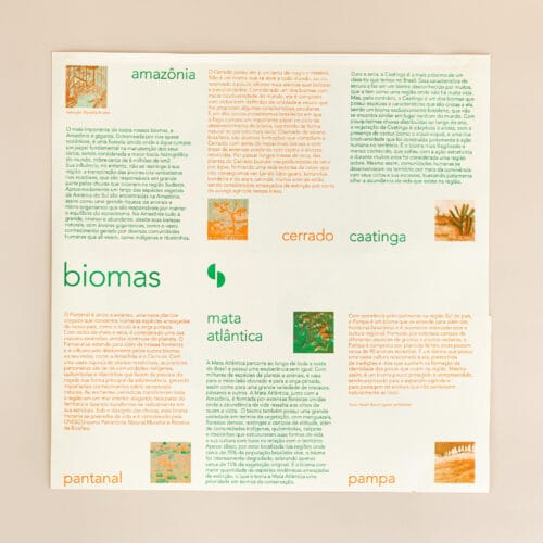 verso quadro biomas do Brasil brinde sustentabilidade CNN Brasil