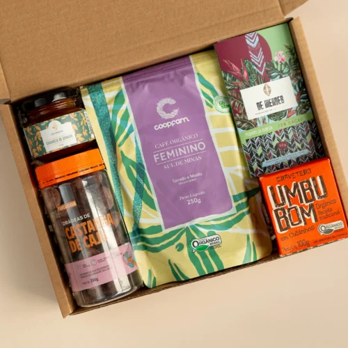 kit de presente sustentável com: café feminino, drágeas de castanha de caju, chocolate, caramelo de cumaru, doce de umbu.